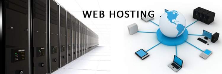 Web hosting plans